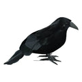 1/2Pcs Plastic Simulation Crow with Feather Wings Raven Model Easter Party Decor Black Fake Bird Raven Props Garden Decoration