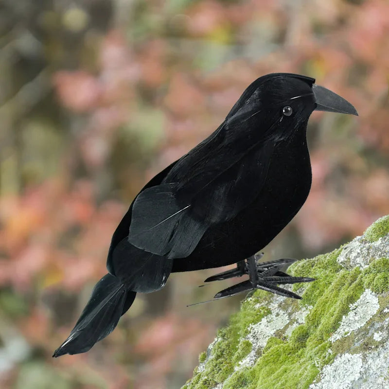 1/2Pcs Plastic Simulation Crow with Feather Wings Raven Model Easter Party Decor Black Fake Bird Raven Props Garden Decoration